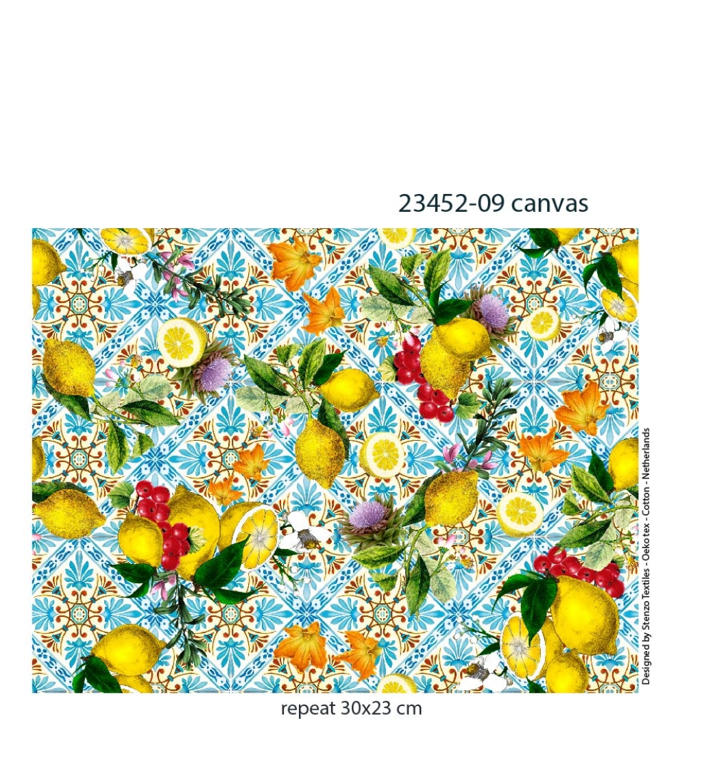 2345209CAN Stenzo Textiles