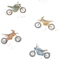 27221-02TR ''Motorbike'' print