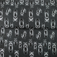 26538-16 ''Rocky Raccoon'' FT-print