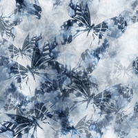 27414-09LI ''Faded Butterfly'' print