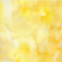 27902-08TR ''Dreamy Gradient'' print