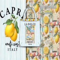 27503-promotion sample