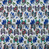 26528-16SW ''Take Control'' print