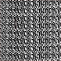 27273-20 ''Zebra Zoo'' Panel