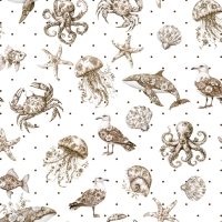 27906-22TR ''Patterned Sealife'' print