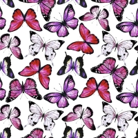 27919-12TR ''Butterfly Mess'' print