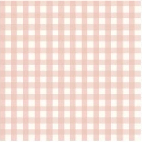 27190-12SE ''Super Simple Checks'' print