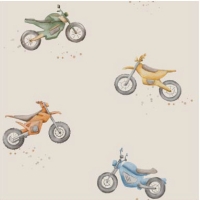 27221-22TR ''Motorbike'' print