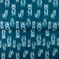 26538-15 ''Rocky Raccoon'' FT-print