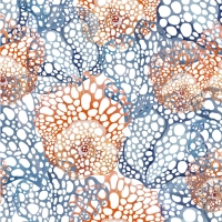 27920-11TR ''Crazy Coral'' print