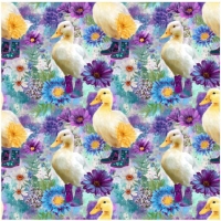 27234-09TR ''Funky Ducks'' print