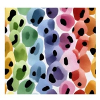 27955-10 ''Blurred Dots'' print