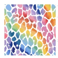 27956-12 ''Rainbow Spots'' print