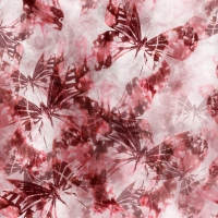 27414-11LI ''Faded Butterfly'' print