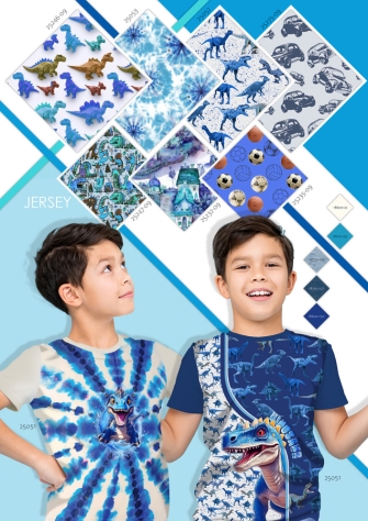 25235-09 ''Ballgame'' print