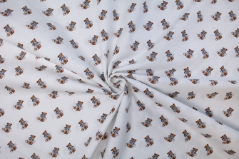 27114-02PL ''Baby Teddy'' print