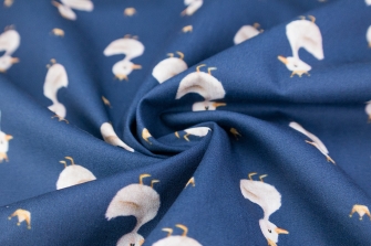 26129-15PL ''Duck Prince'' print