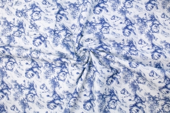 27116-02PL ''Laughing Leo'' print