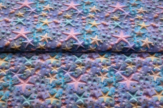 27212-14TR ''Starry Starfish'' print