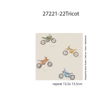 27221-22TR ''Motorbike'' print