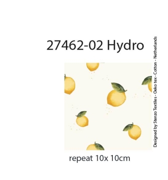 27462-02HD ''Lemons'' print