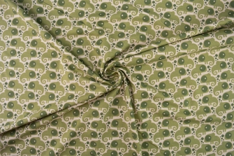 26200-10 ''Little Chameleon'' print