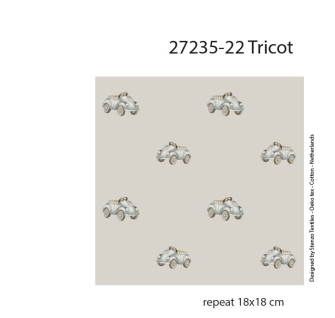 27235-22TR ''Tiny Cars'' print