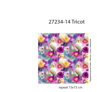 27234-14TR ''Funky Ducks'' print