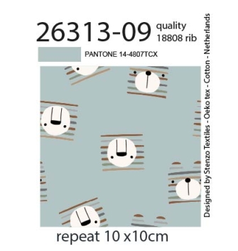 26313-09 ''Little Lion'' print