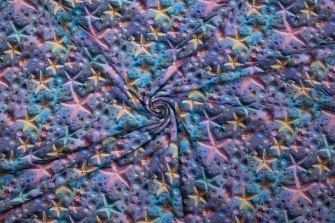 27212-14TR ''Starry Starfish'' print