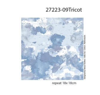 27223-09TR ''Blue Camu Map'' print