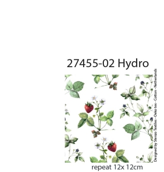 27455-02HD ''Wild Strawberry'' print