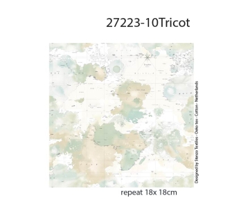 27223-10TR ''Pastel Camu Map'' print