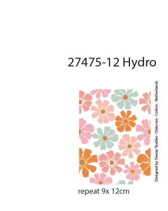 27475-12HD ''Retro Flower'' print