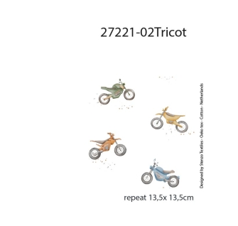 27221-02TR ''Motorbike'' print