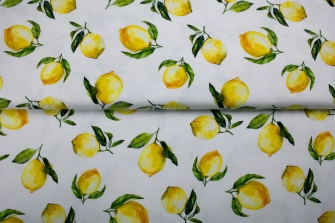 27904-08TR ''Fruity'' print