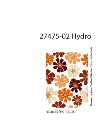 27475-02HD ''Retro Flower'' print