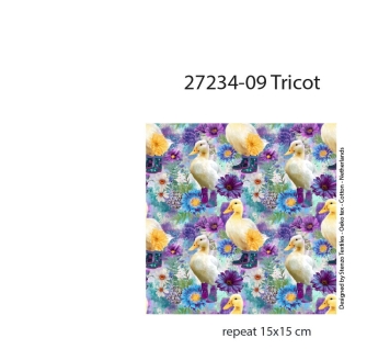 27234-09TR ''Funky Ducks'' print