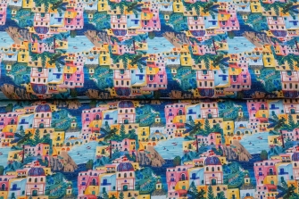 27856-11VW ''Riviera Coastline'' print