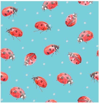 27623-99PL ''Lady Ladybug'' print