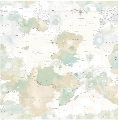 27223-10TR ''Pastel Camu Map'' print