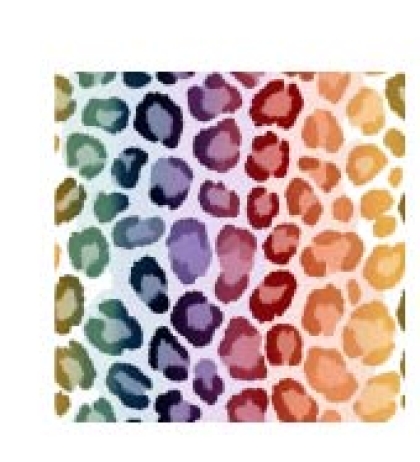 27957-13 ''Rainbow Leo'' print