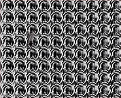 27273-20 ''Zebra Zoo'' Panel