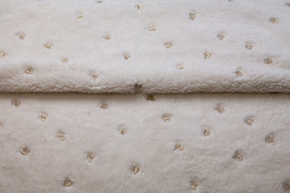 19764 - Gold embroidery fur