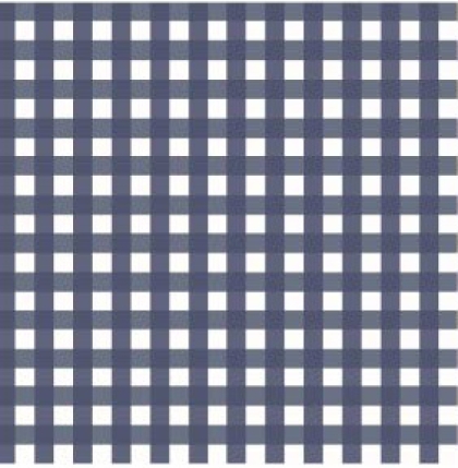 27190-15SE ''Super Simple Checks'' print