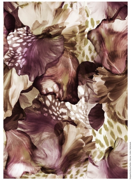 27951-33 ''Orchid Paradise'' print