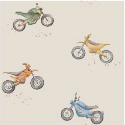 27221-22TR ''Motorbike'' print