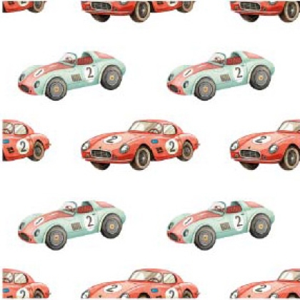 27186-02SE ''The Smallest Racecar'' print