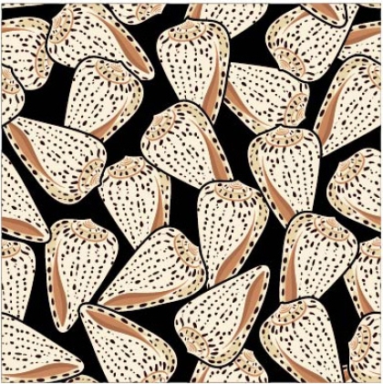27812-20VE ''Seashells'' print