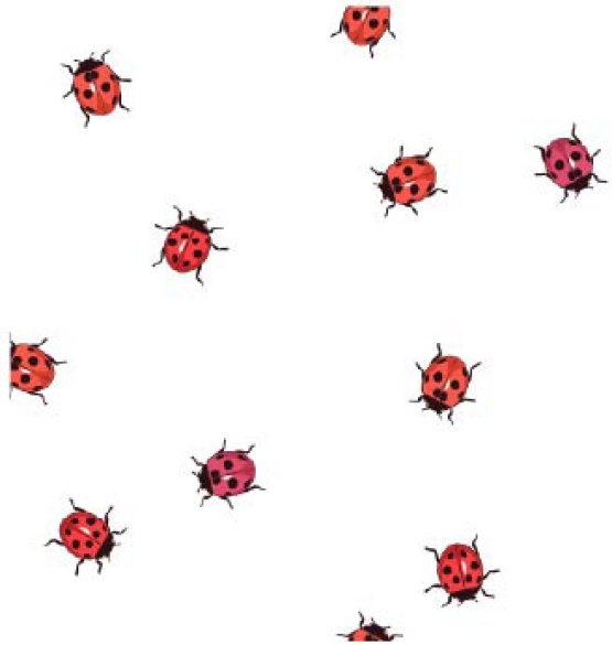 27184-02SE ''Ladybug'' print